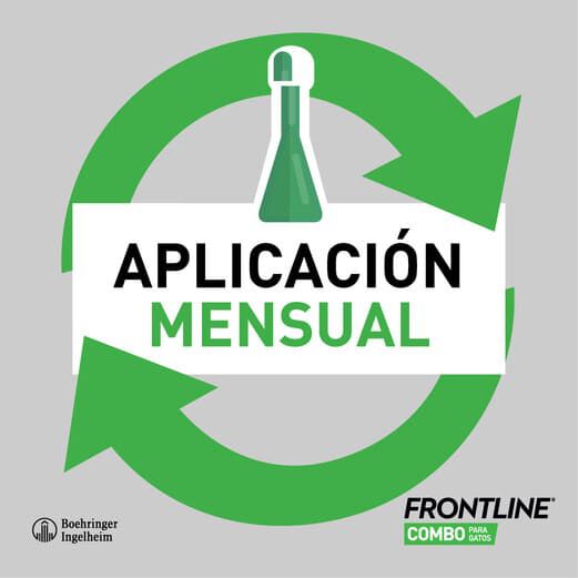 Frontline Combo Spot On Pipetas Antiparasit&aacute;rias para c&atilde;es pequenos, , large Imagem n&uacute;mero 5